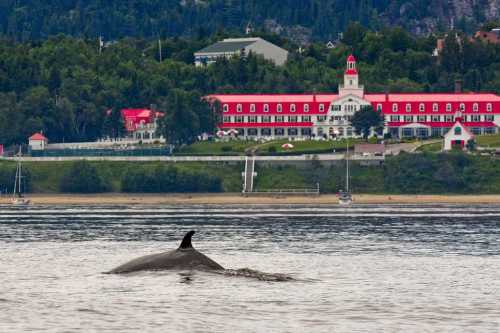 Hotel Tadoussac 002